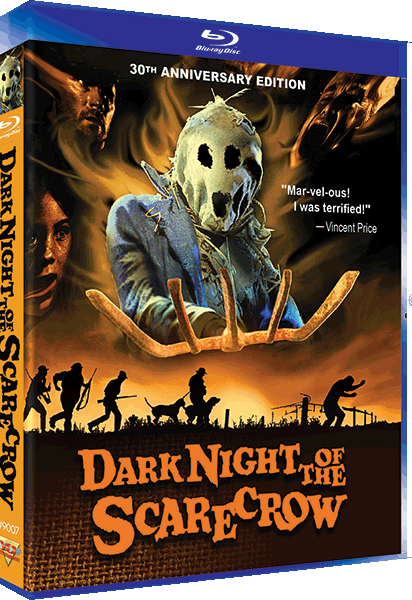 dark-night-of-the-scarecrow-br
