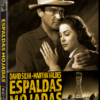 espaldas-mojadas-dvd