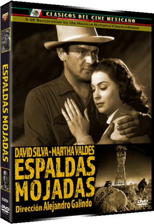 espaldas-mojadas-dvd