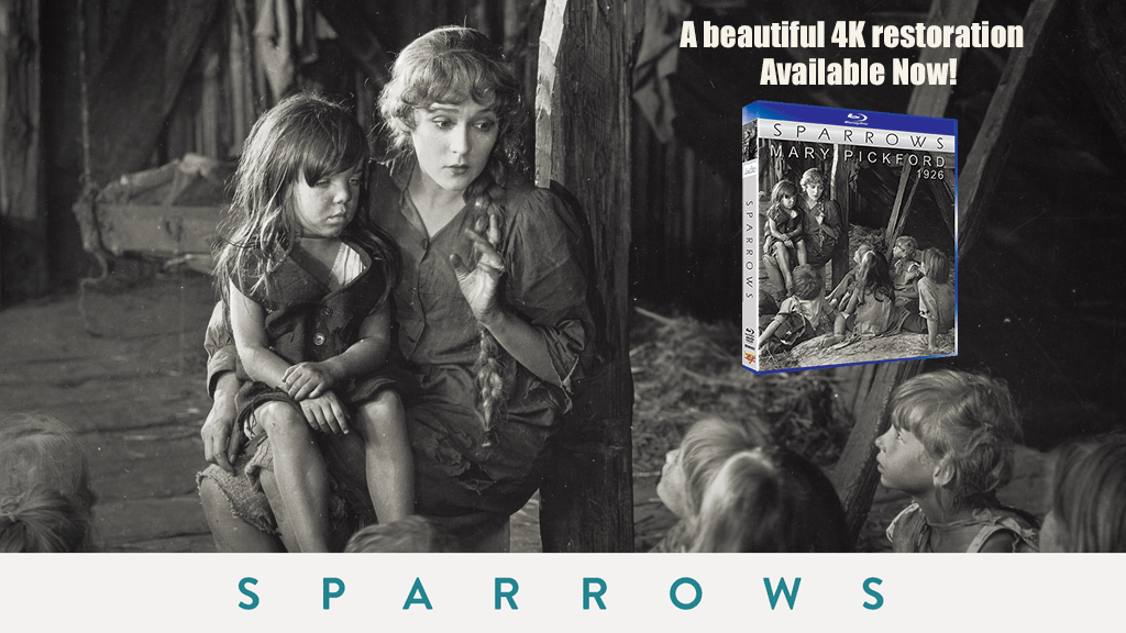 Sparrows