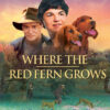 where-rthe-red-fern-grows